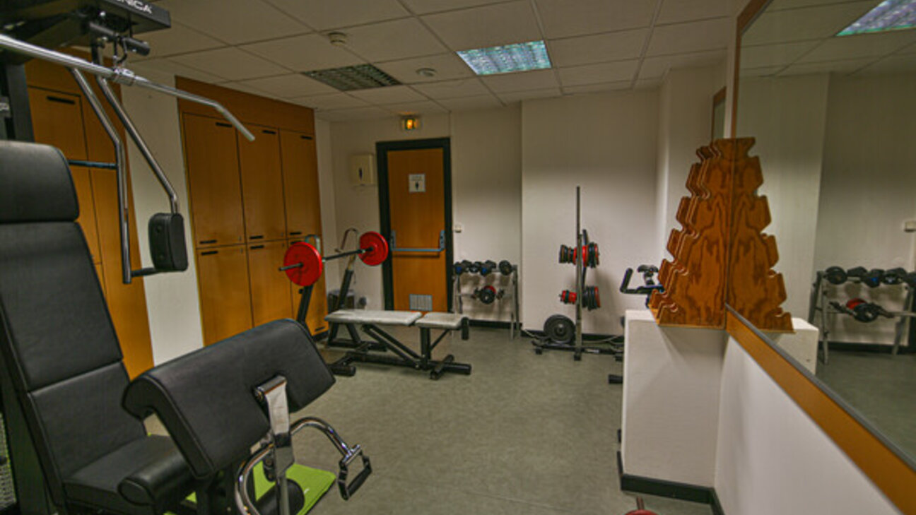 Duplex meublé et rénové - Parc Saint Roman - 17 / 19