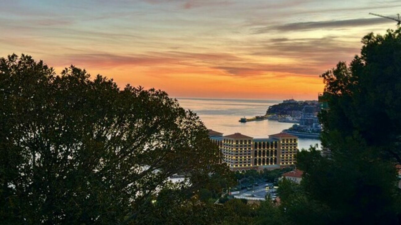 Vendita Roquebrune-Cap-Martin Appartamento / 2 stanze - 1 / 9